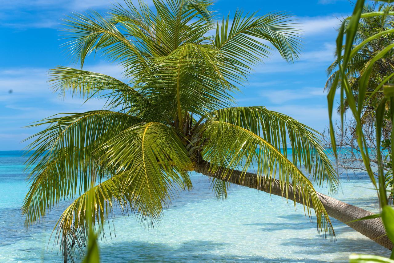 Dhiguveli Maldives गेस्ट हाउस